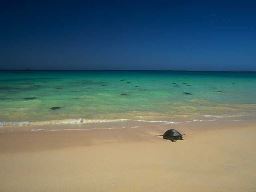 Luxury Travel Adventures in Galapagos Islands